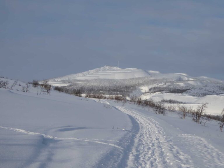 Blick in Schneelandschaft in Schweden