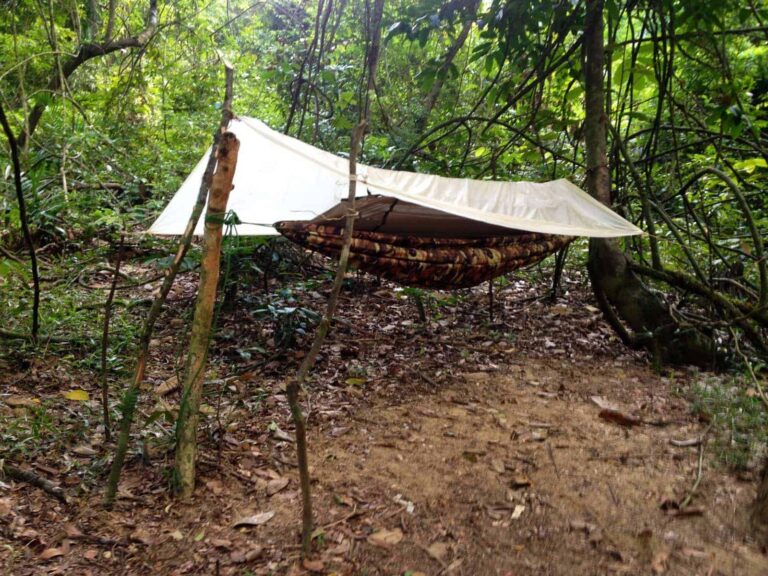 Survivaltraining Hängematte mit Tarp im Dschungel