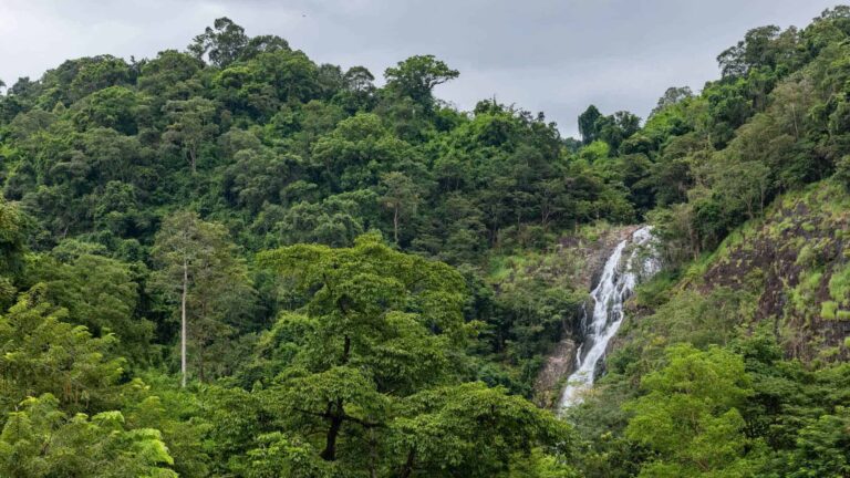 Survivaltraining im Dschungel Blick auf Wasserfall