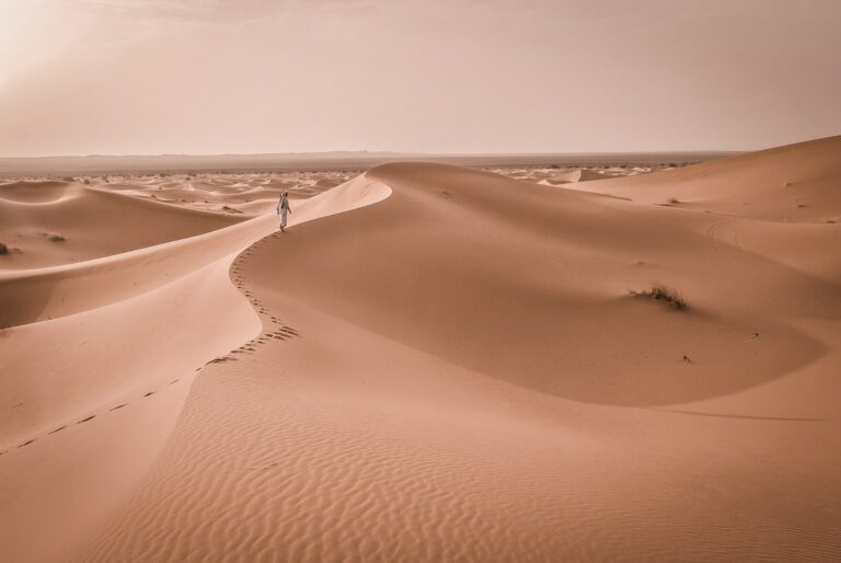 Sahara Wüstentour