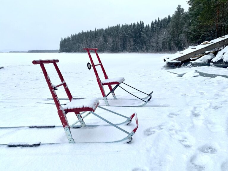 Schweden Polarlichter Kicksleds