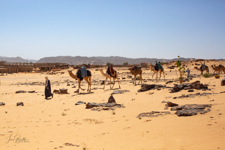 Algerien Kameltrekking durch Sandwüste