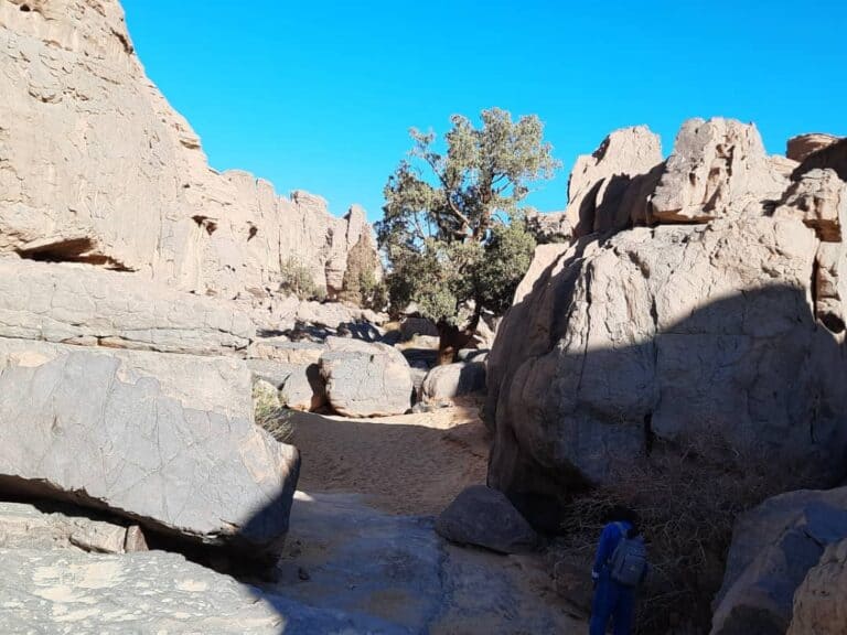 Plateau Tassili nAjjer Wüstenwanderung