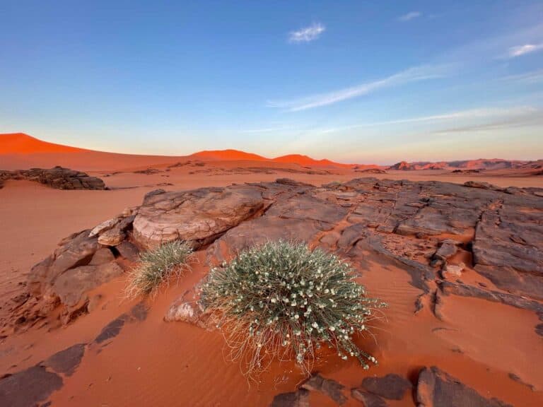 Sonnenuntergang im Tadrart bei Tin Merzouga